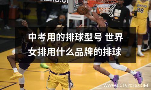 中考用的排球型号 世界女排用什么品牌的排球