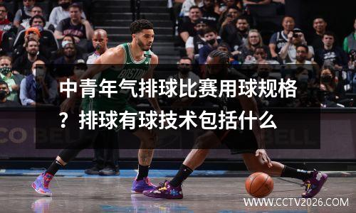 中青年气排球比赛用球规格？排球有球技术包括什么