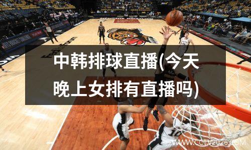 中韩排球直播(今天晚上女排有直播吗)