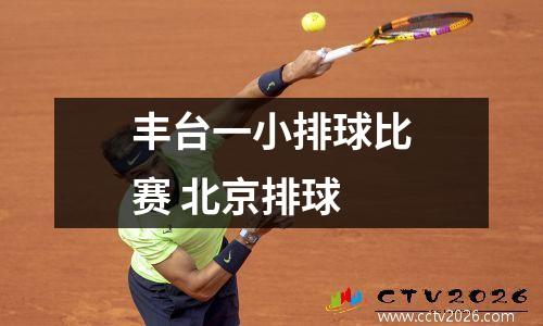 丰台一小排球比赛 北京排球