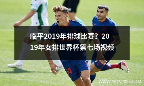 临平2019年排球比赛？2019年女排世界杯第七场视频