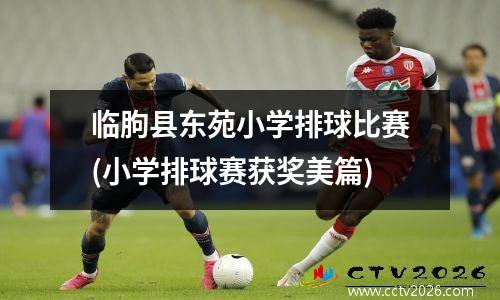 临朐县东苑小学排球比赛(小学排球赛获奖美篇)