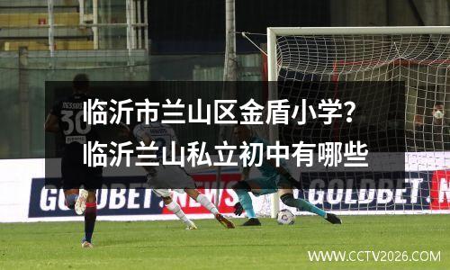 临沂市兰山区金盾小学？临沂兰山私立初中有哪些
