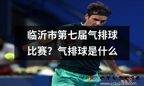 临沂市第七届气排球比赛？气排球是什么