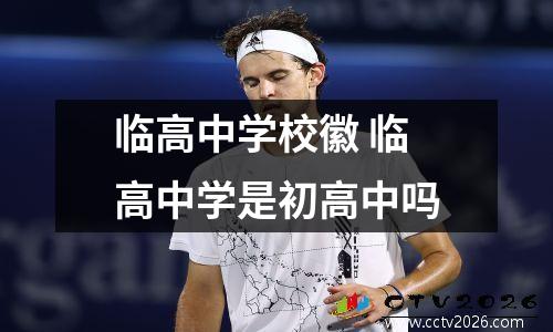 临高中学校徽 临高中学是初高中吗