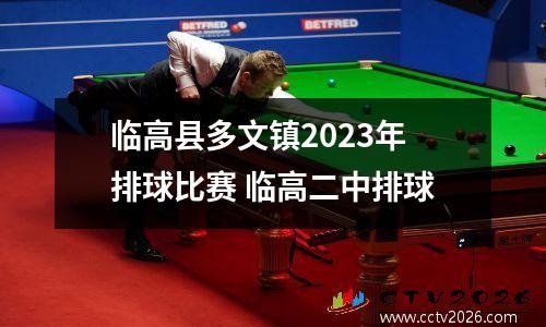 临高县多文镇2023年排球比赛 临高二中排球