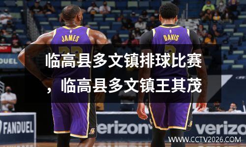 临高县多文镇排球比赛，临高县多文镇王其茂