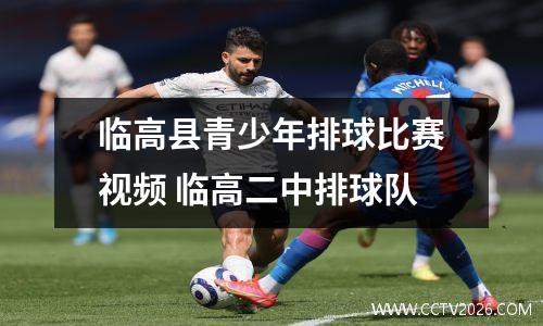 临高县青少年排球比赛视频 临高二中排球队