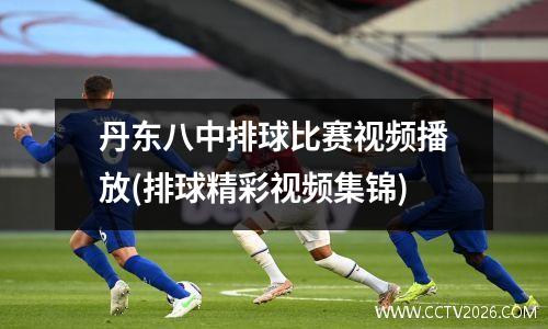 丹东八中排球比赛视频播放(排球精彩视频集锦)