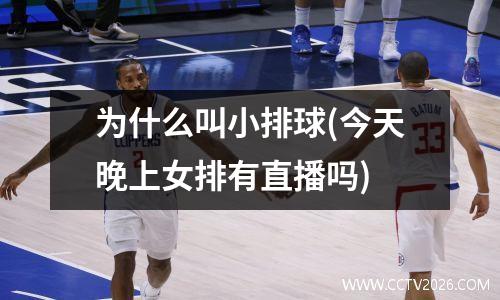 为什么叫小排球(今天晚上女排有直播吗)