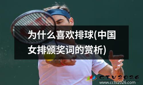 为什么喜欢排球(中国女排颁奖词的赏析)