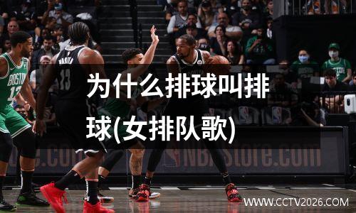 为什么排球叫排球(女排队歌)