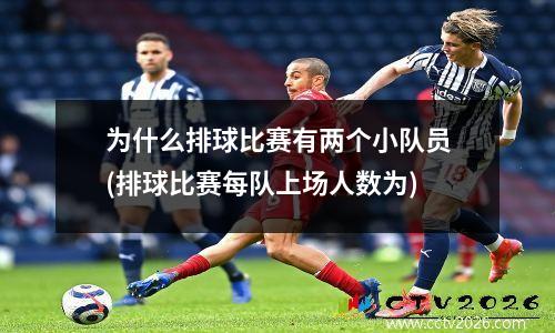 为什么排球比赛有两个小队员(排球比赛每队上场人数为)