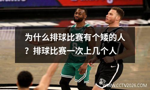 为什么排球比赛有个矮的人？排球比赛一次上几个人