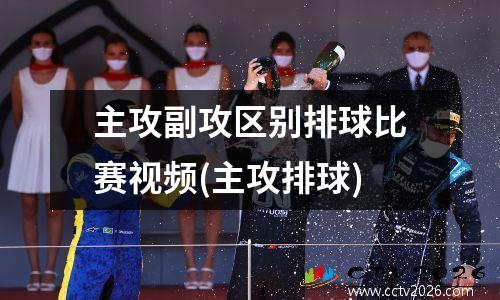 主攻副攻区别排球比赛视频(主攻排球)