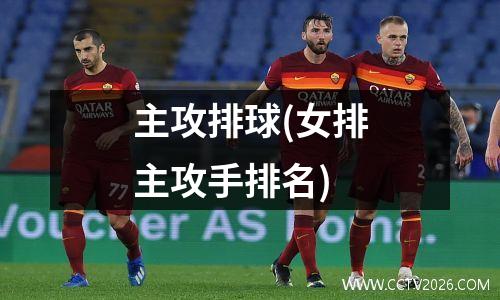 主攻排球(女排主攻手排名)