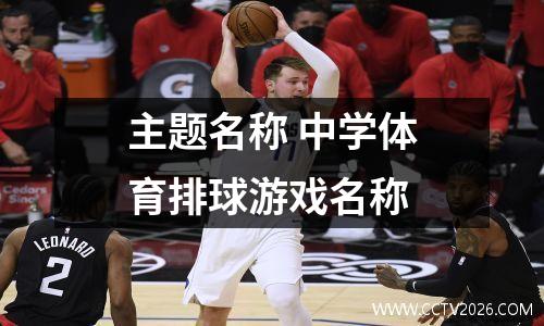 主题名称 中学体育排球游戏名称