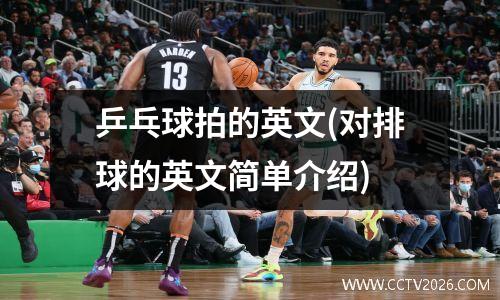 乒乓球拍的英文(对排球的英文简单介绍)