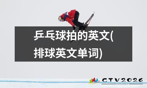 乒乓球拍的英文(排球英文单词)