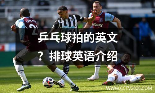 乒乓球拍的英文？排球英语介绍