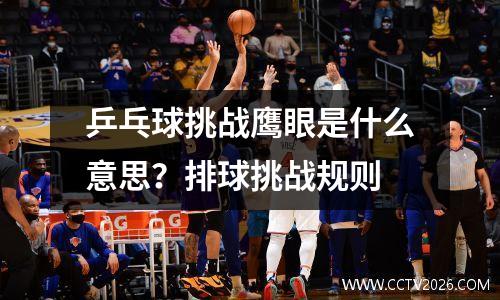 乒乓球挑战鹰眼是什么意思？排球挑战规则