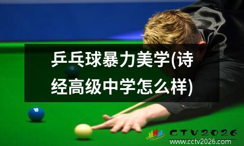 乒乓球暴力美学(诗经高级中学怎么样)