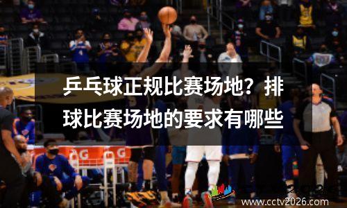 乒乓球正规比赛场地？排球比赛场地的要求有哪些