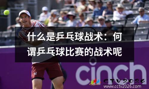 什么是乒乓球战术：何谓乒乓球比赛的战术呢
