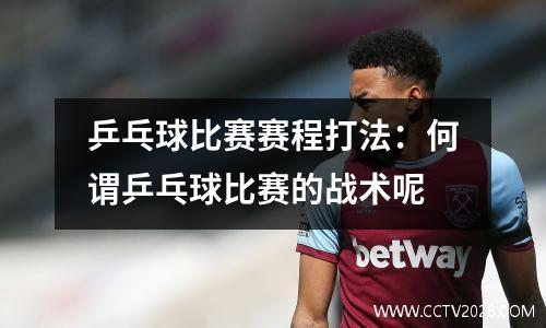 乒乓球比赛赛程打法：何谓乒乓球比赛的战术呢