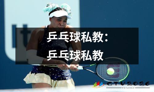 乒乓球私教：乒乓球私教