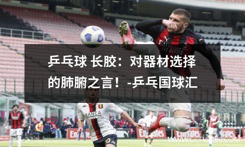 乒乓球 长胶：对器材选择的肺腑之言！-乒乓国球汇