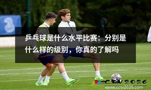 乒乓球是什么水平比赛：分别是什么样的级别，你真的了解吗