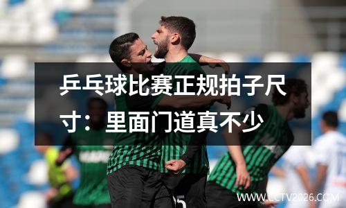乒乓球比赛正规拍子尺寸：里面门道真不少