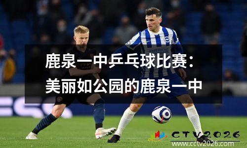 鹿泉一中乒乓球比赛：美丽如公园的鹿泉一中