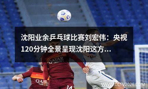沈阳业余乒乓球比赛刘宏伟：央视120分钟全景呈现沈阳这方水土