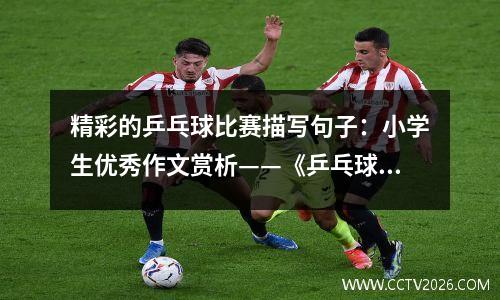精彩的乒乓球比赛描写句子：小学生优秀作文赏析——《乒乓球激战》