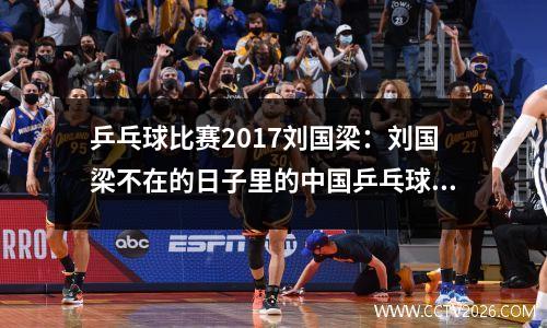 乒乓球比赛2017刘国梁：刘国梁不在的日子里的中国乒乓球队