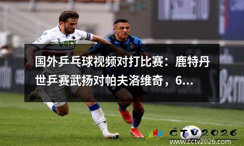 国外乒乓球视频对打比赛：鹿特丹世乒赛武扬对帕夫洛维奇，6局胜出