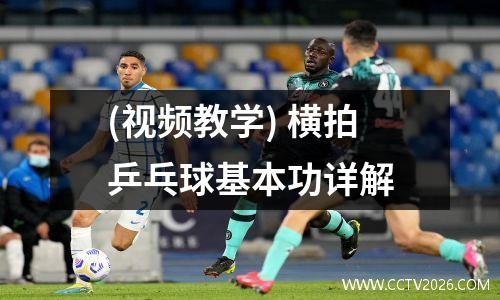 (视频教学) 横拍乒乓球基本功详解