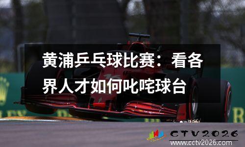 黄浦乒乓球比赛：看各界人才如何叱咤球台