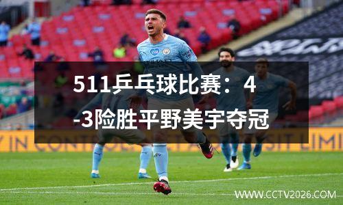 511乒乓球比赛：4-3险胜平野美宇夺冠
