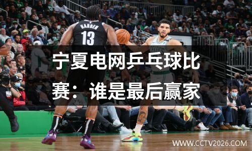 宁夏电网乒乓球比赛：谁是最后赢家