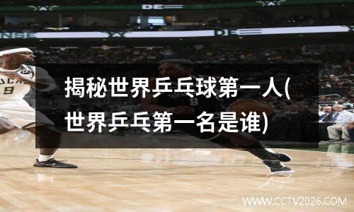 揭秘世界乒乓球第一人(世界乒乓第一名是谁)