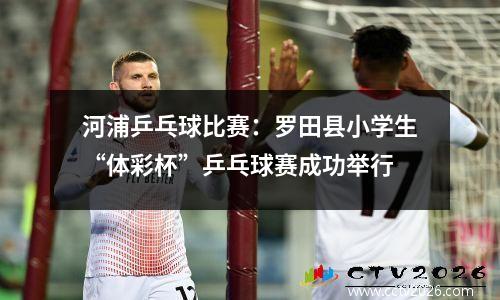 河浦乒乓球比赛：罗田县小学生“体彩杯”乒乓球赛成功举行