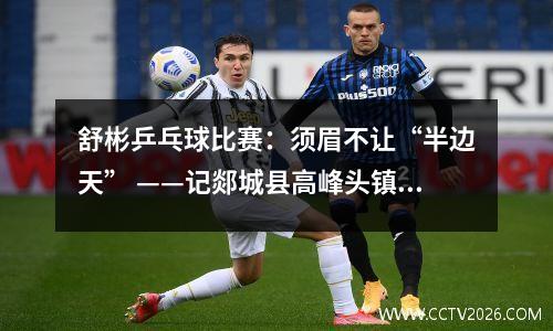 舒彬乒乓球比赛：须眉不让“半边天” ——记郯城县高峰头镇“三资清理”模范舒彬