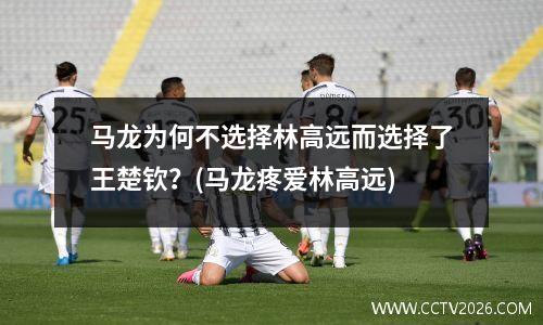 马龙为何不选择林高远而选择了王楚钦？(马龙疼爱林高远)