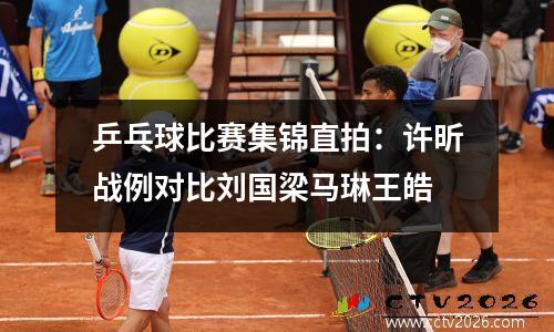 乒乓球比赛集锦直拍：许昕战例对比刘国梁马琳王皓