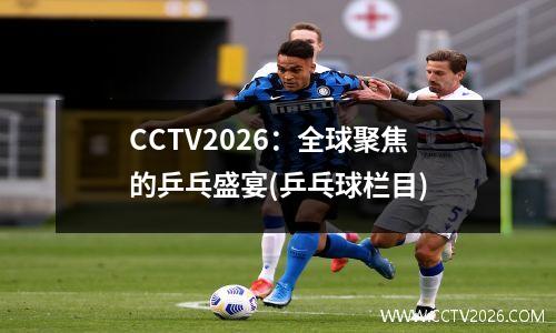 CCTV2026：全球聚焦的乒乓盛宴(乒乓球栏目)