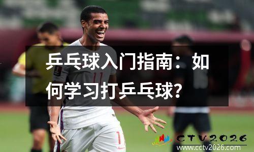 乒乓球入门指南：如何学习打乒乓球？