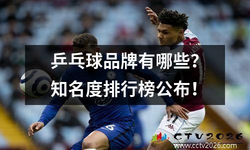 乒乓球品牌有哪些？知名度排行榜公布！